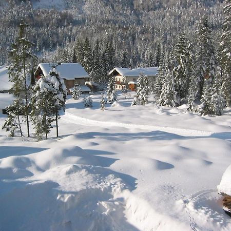 Anne'S Wohlfuehlplatzl Appartement Steinberg am Rofan Buitenkant foto